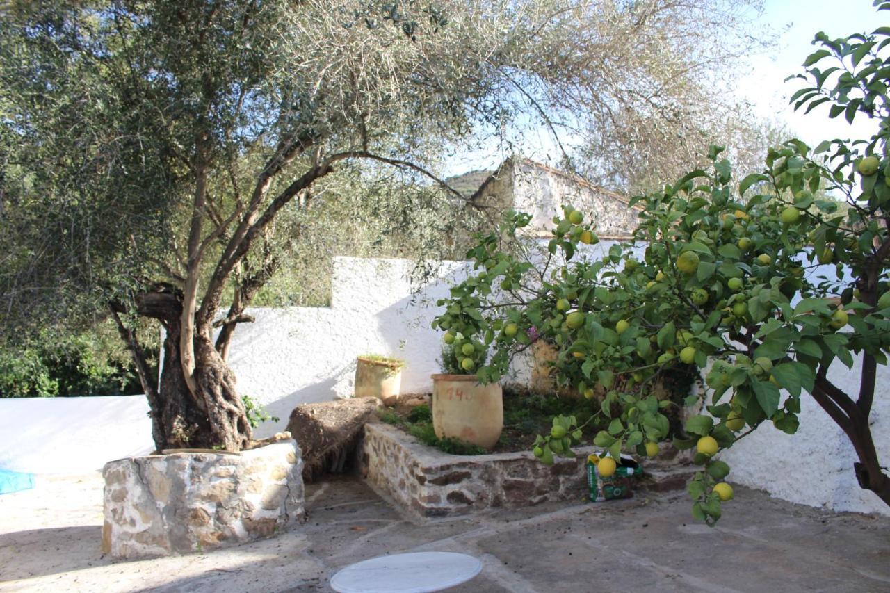 Cortijo El Puente Guest House Viñuela Exterior foto